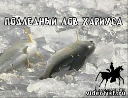 Подледный лов хариуса