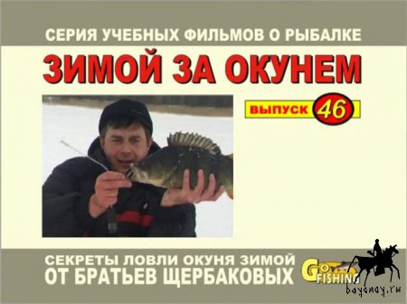 Зимой за окунем