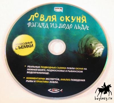 Взгляд из подо льда. Зимний окунь. Взгляд из подо льда. Зимний окунь.